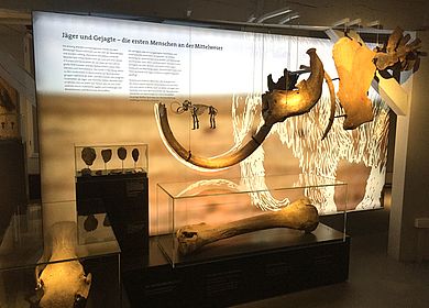 Ausstellung im Museum Nienburg