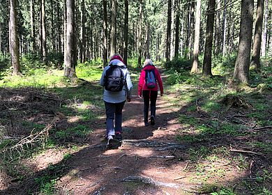 Wandern durch den Wald