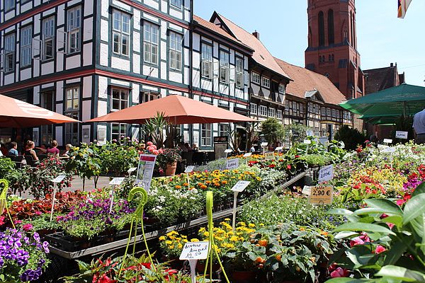 Europe's most beautiful weekly market in Nienburg