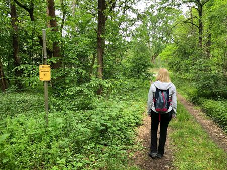 Ein Wanderer auf dem Lönswanderweg